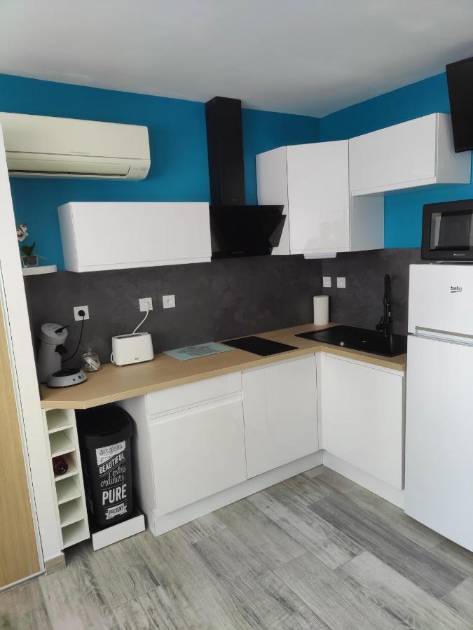 Studio Climatise 50 M.Du Port Saint-Cyprien  Extérieur photo