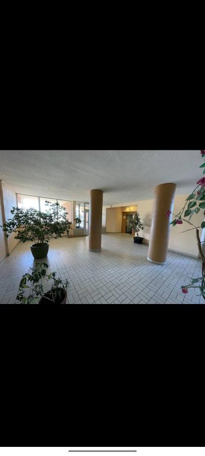 Studio Climatise 50 M.Du Port Saint-Cyprien  Extérieur photo